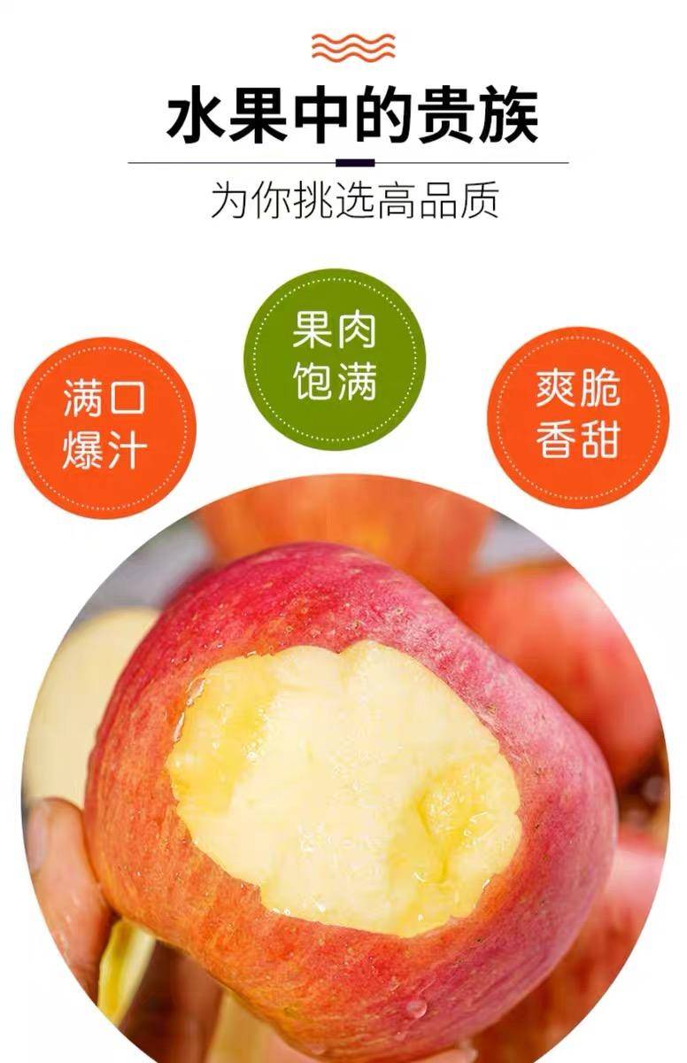 精品烟台红富士苹果5斤/3斤/9斤装
