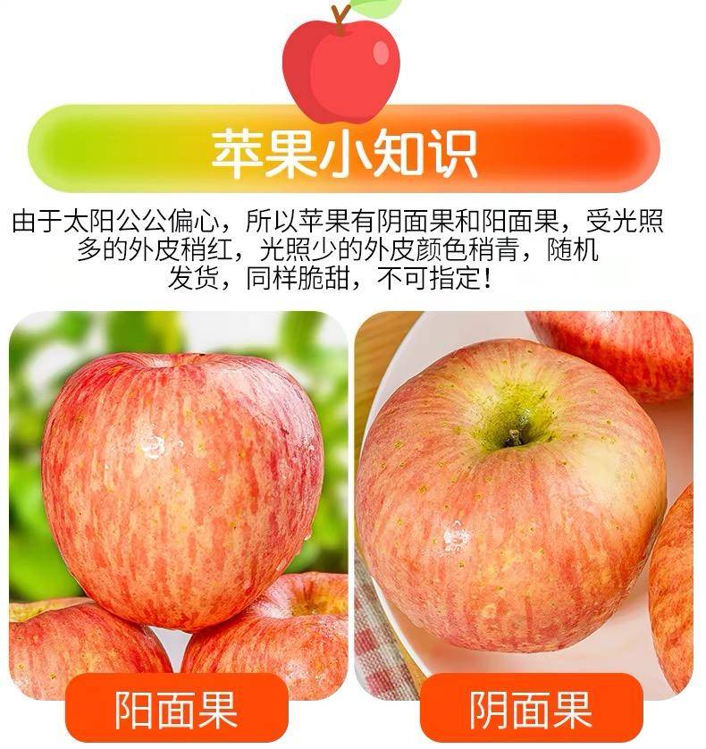 精品烟台红富士苹果5斤/3斤/9斤装