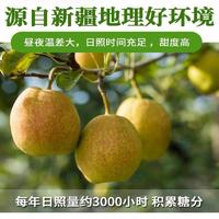 【不上架】大疆有礼库尔勒香梨特级混装120g-150g （5斤）