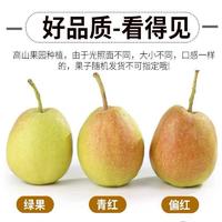【不上架】大疆有礼库尔勒香梨特级混装120g-150g （5斤）