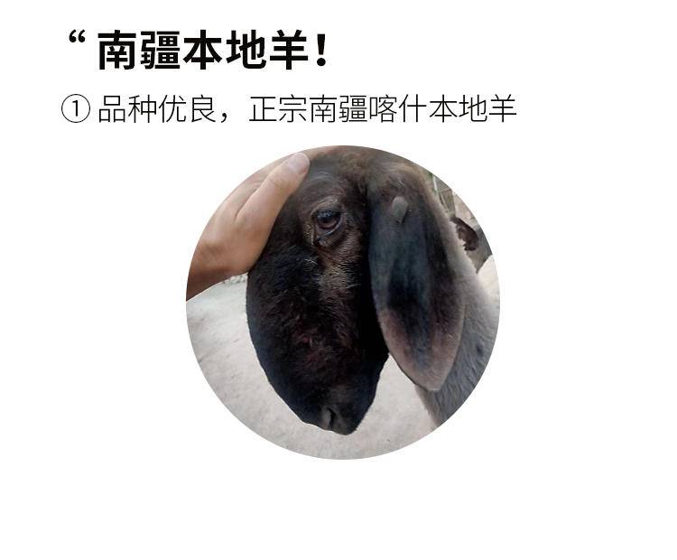 大疆有礼 南疆刀郎羊-羊寸排 1KG