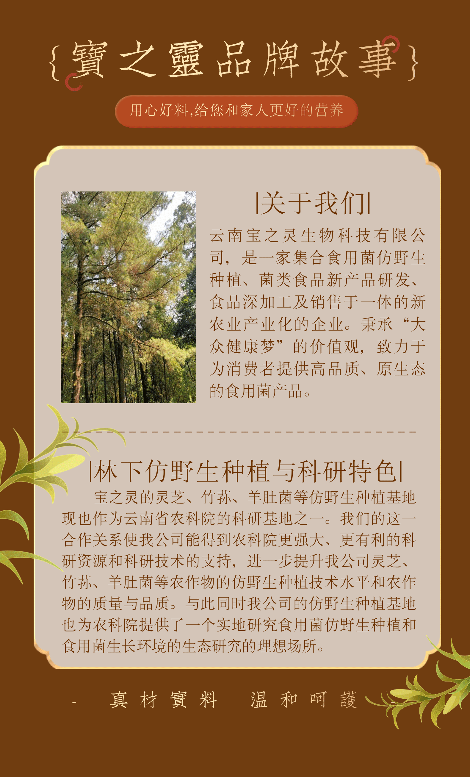 岺之窝灵芝片25g*2瓶/盒