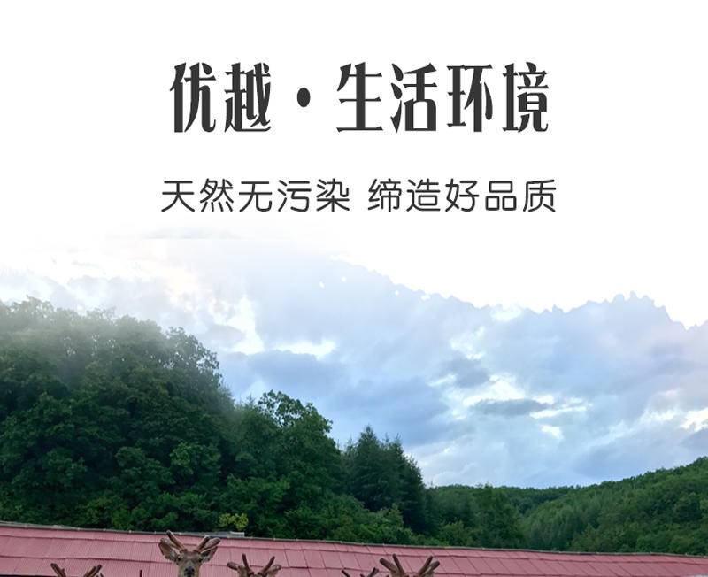 东北特产泓臻堂 鹿茸血片30克袋装