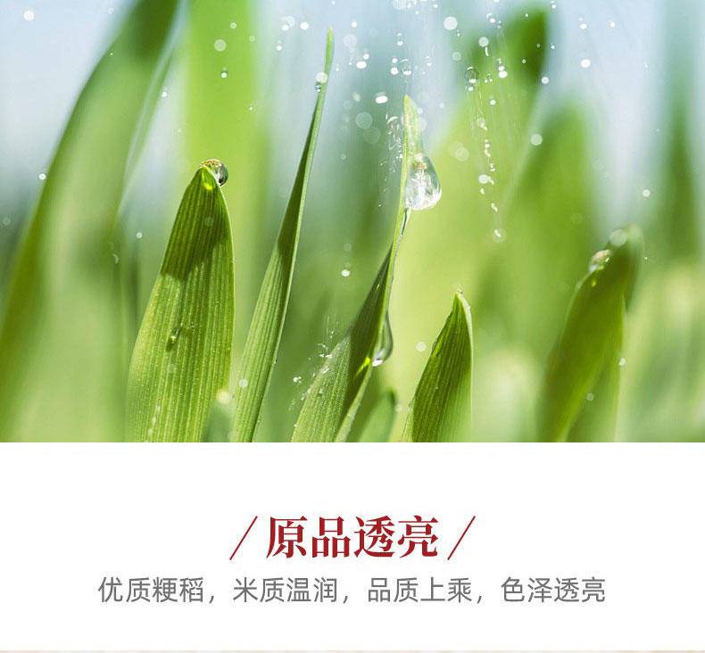 中粮皇家粮仓金橄榄珍珠米5KG圆颗粒