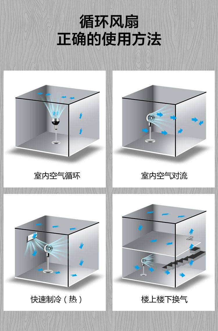 韩雀 循环扇 家用电风扇