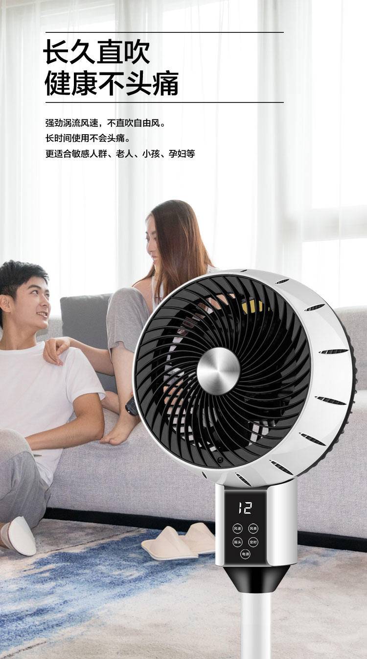 骆驼 循环扇 家用电风扇