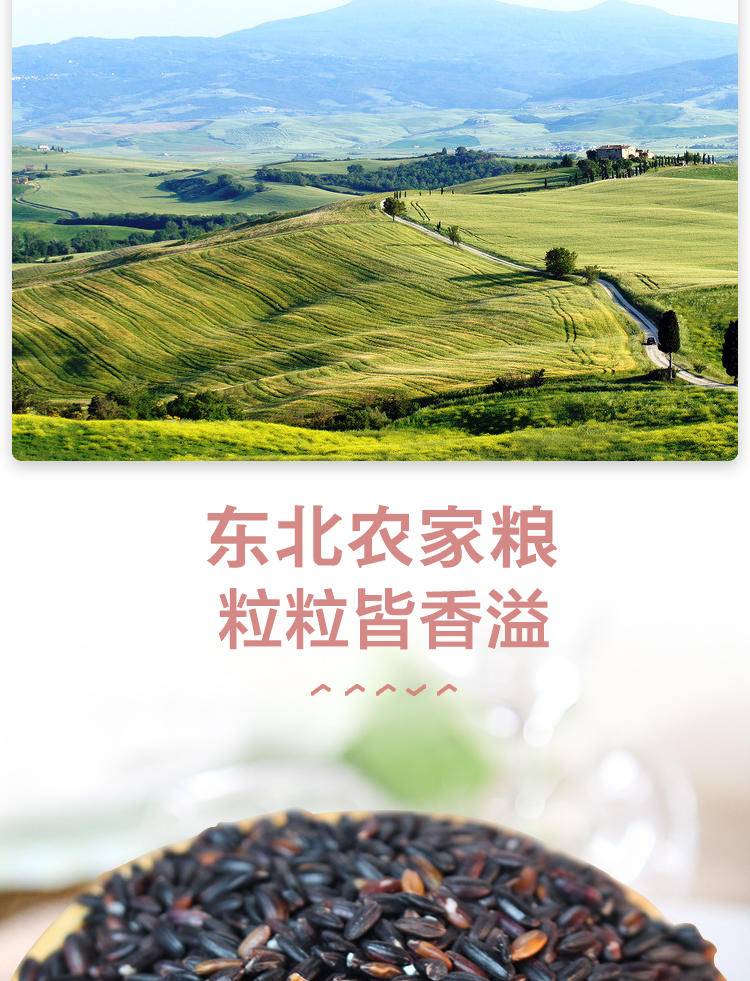 同泽 黑龙江血糯米 2斤