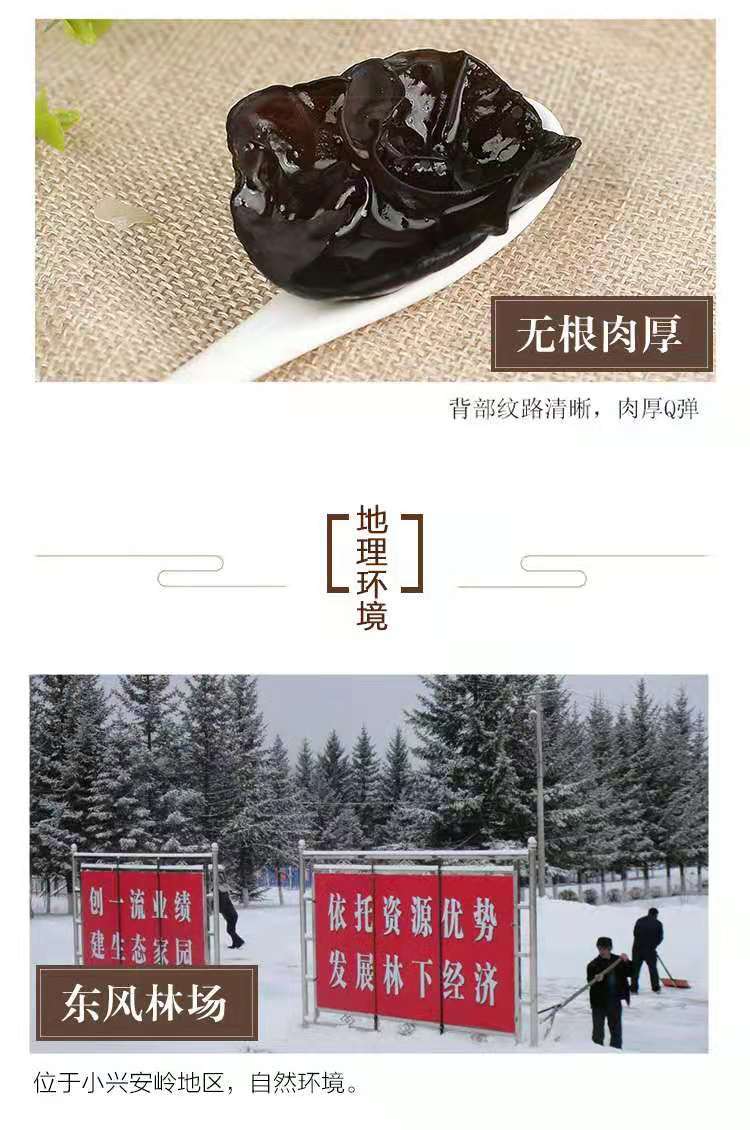 曹海洋*CHA木耳500克/袋