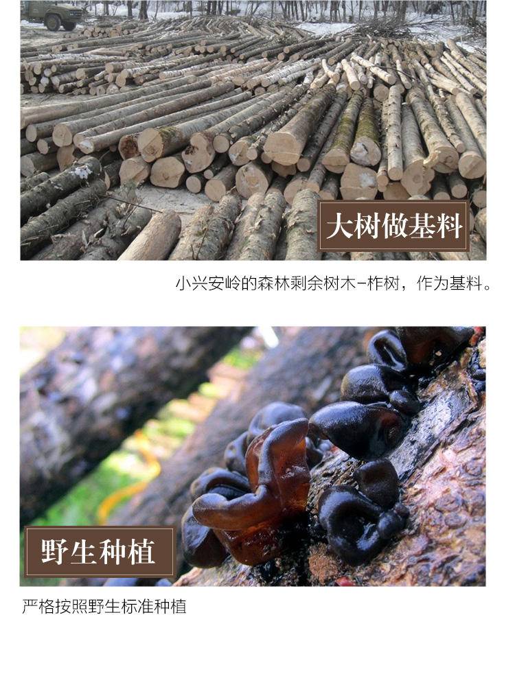 曹海洋*CHA木耳500克/袋