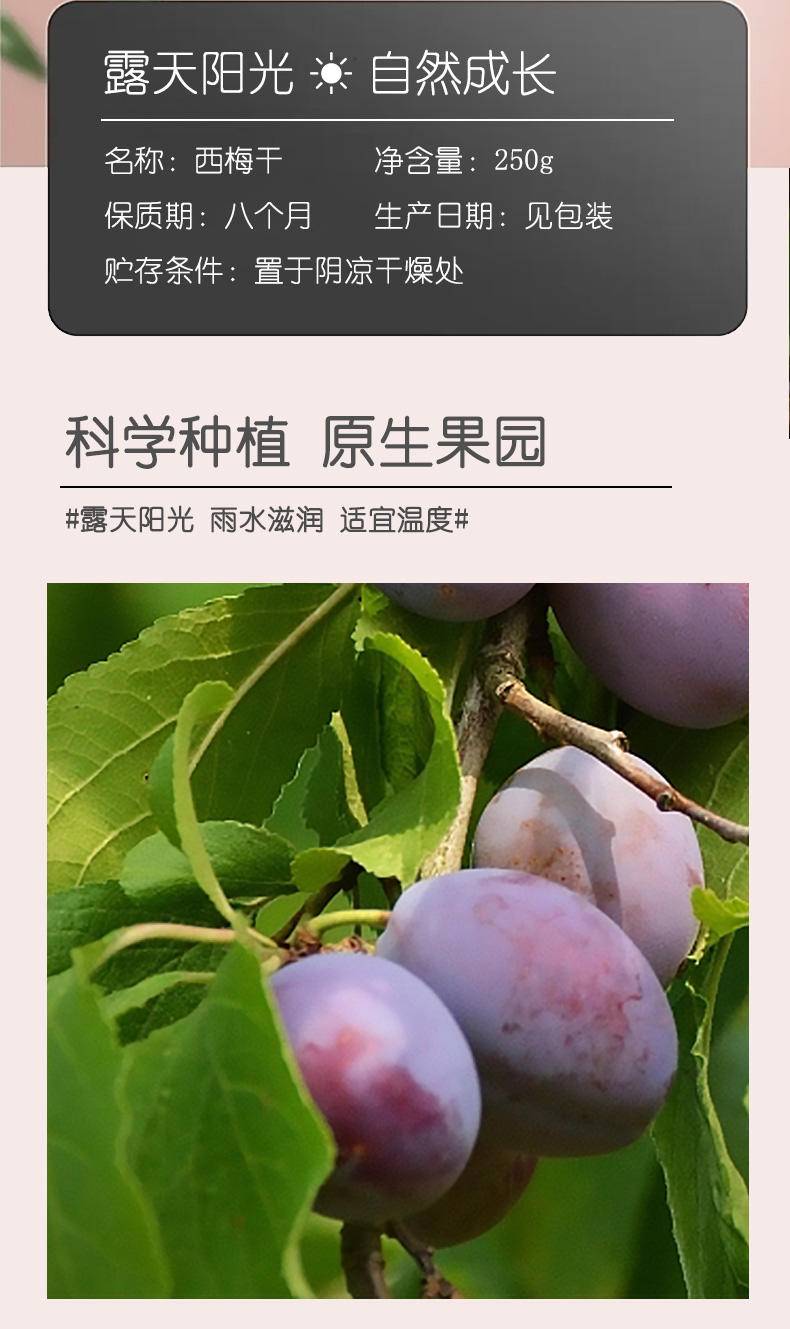 同泽 喀什西梅干新疆特产自然风干零食酸甜健康 250g*2袋