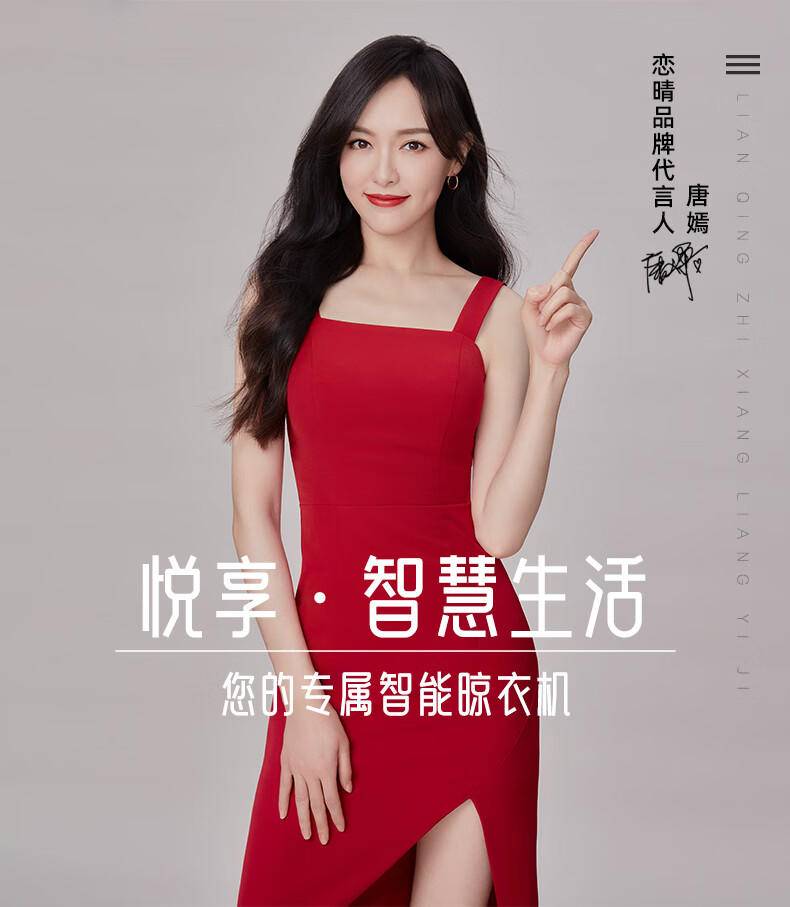 恋晴 超薄电动晾衣架隐形隐藏遥控自动升降室内阳台智能晾晒衣杆9825 9825星空灰 珍珠白