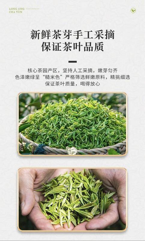 茶洒人间2025年龙井绿茶新茶鲜爽醇甜50克