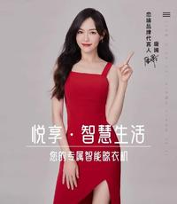 恋晴 超薄电动晾衣架智能遥控自动升降室内阳台智能晾晒衣杆9815 9815金属灰