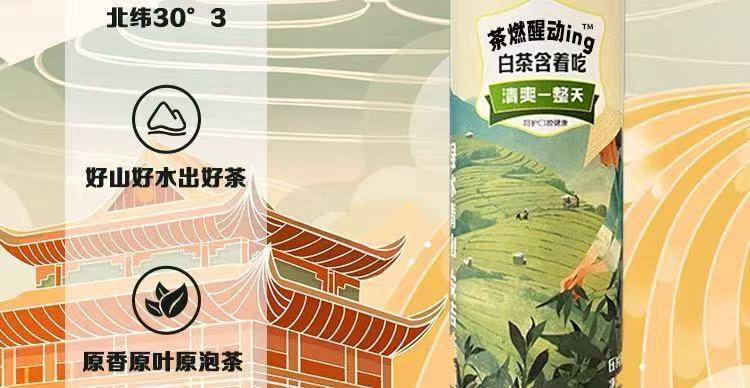 浙茶集团兴合悦茶燃醒动ing白茶茶香含片清新口气 润喉糖果茶叶含片22.5g