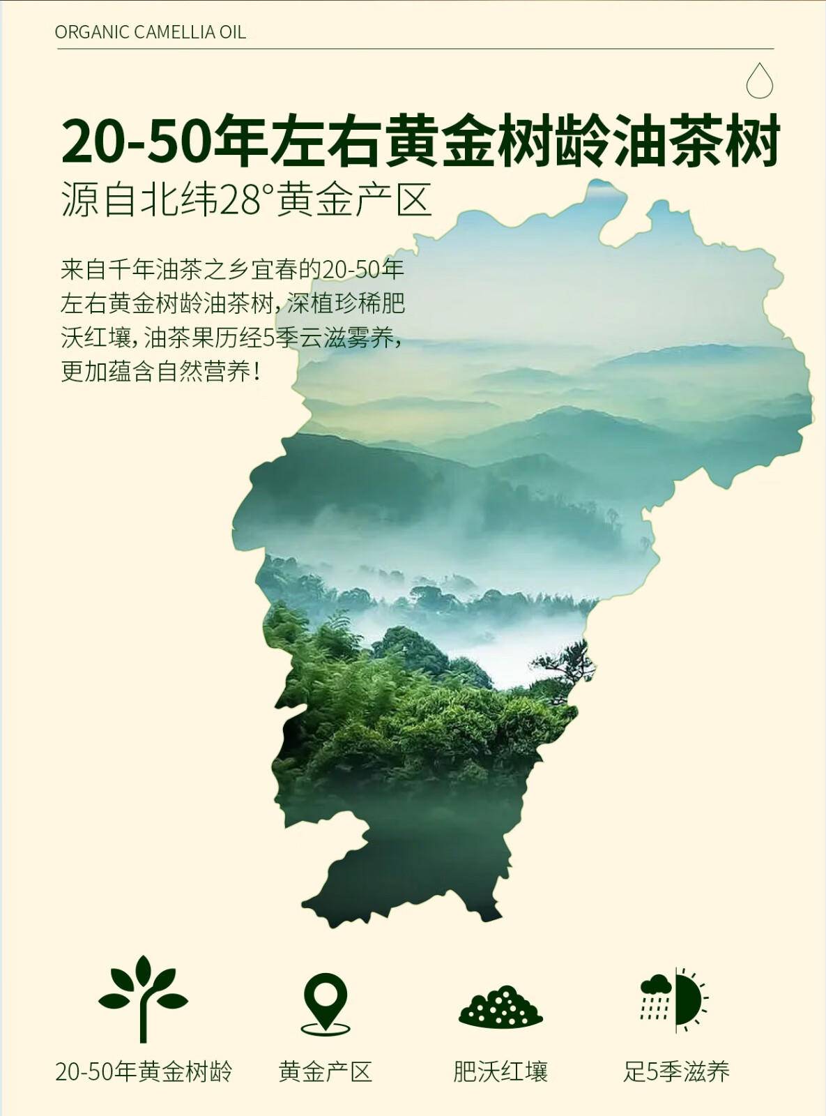 润心（RunXin）有机山茶油铁桶1L