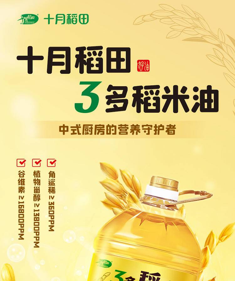 十月稻田 稻米油5L