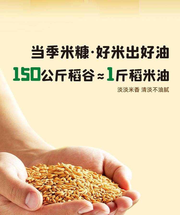 十月稻田 稻米油5L