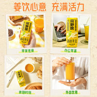 田野说 NFC生姜复合果蔬汁 248ml*10盒*1箱