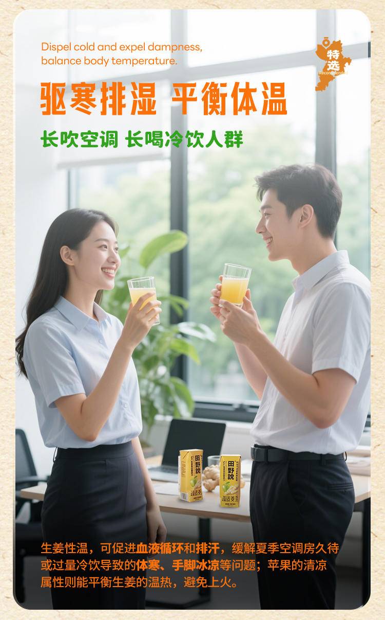 田野说 NFC生姜复合果蔬汁 248ml*10盒*1箱