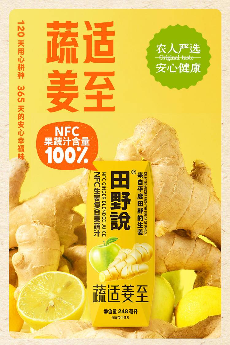 田野说 NFC生姜复合果蔬汁 248ml*10盒*1箱