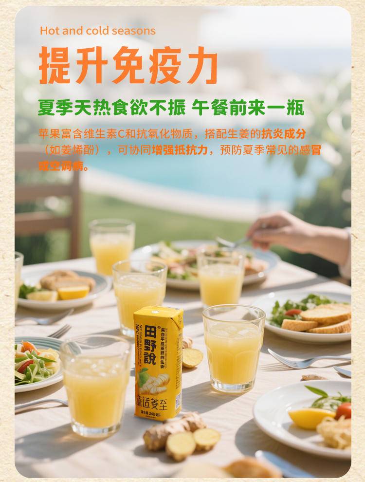 田野说 NFC生姜复合果蔬汁 248ml*10盒*1箱