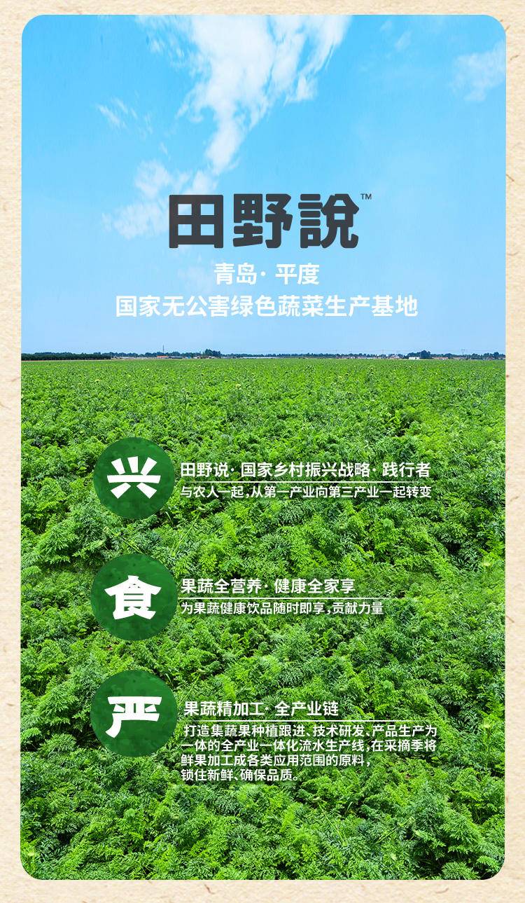 田野说 NFC生姜复合果蔬汁 248ml*10盒*1箱