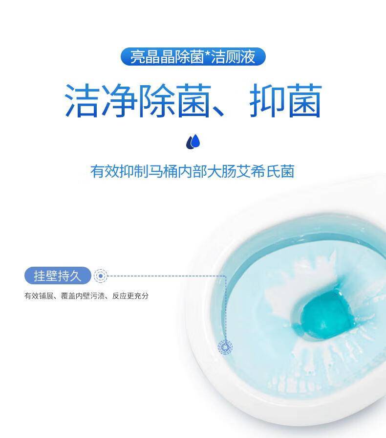 亮晶晶500g洁厕灵