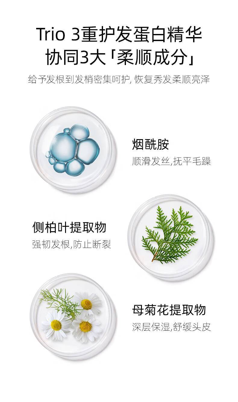 温莎深林520g蛋白修护洗发乳