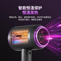 阿诗顿吹风机
