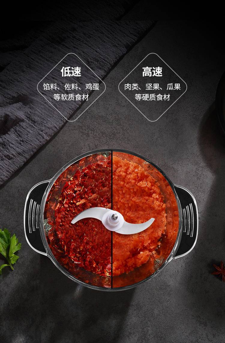 东菱Donlim）绞肉机打蛋器家用料理机绞馅机碎肉机搅拌机婴儿辅食机2L大容量 不锈钢DL-JR373