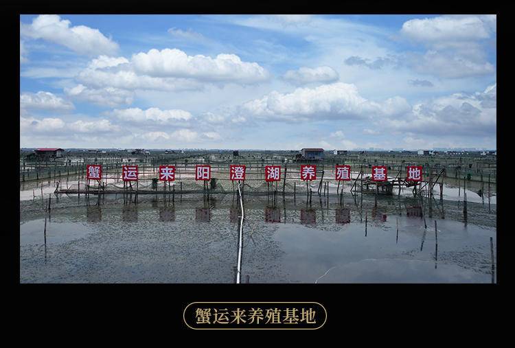 【蟹卡】蟹运来阳澄湖大闸蟹中秋螃蟹券礼盒礼品卡海鲜水产