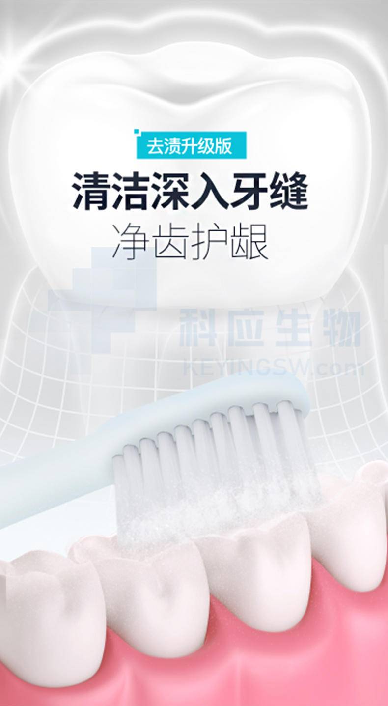 拍一发二HEAIQI琦憶-益生菌珍珠净白洁牙粉