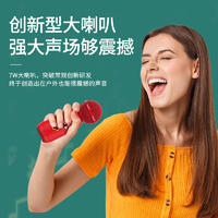 迪士尼K歌麦克风唱吧无线麦克风话筒音响—体FX911