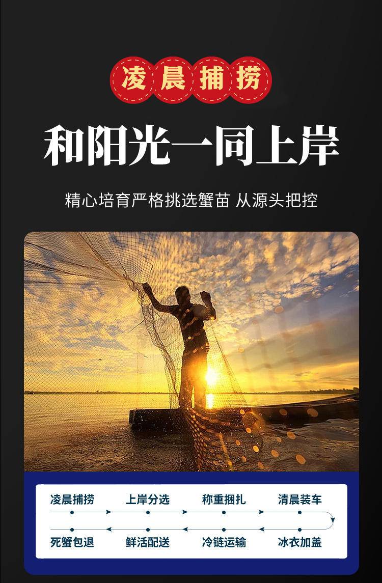 【蟹卡】蟹运来阳澄湖大闸蟹中秋螃蟹券礼盒礼品卡海鲜水产